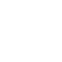 Cyber Security Icon White