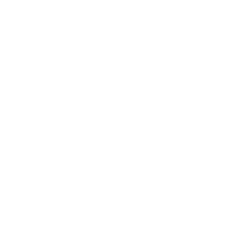 Cyber Security Icon White